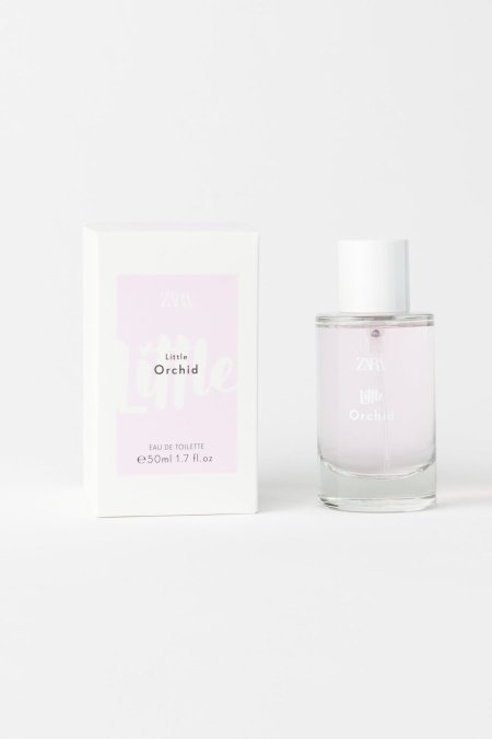 Zara little Orchid