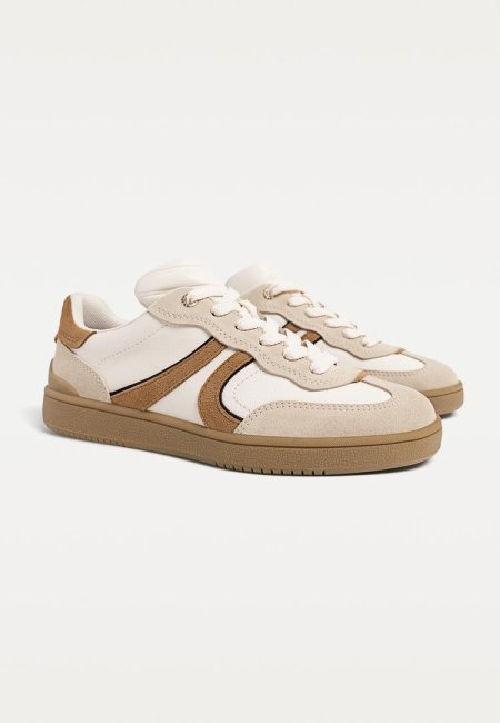 Sttadivarius trainer