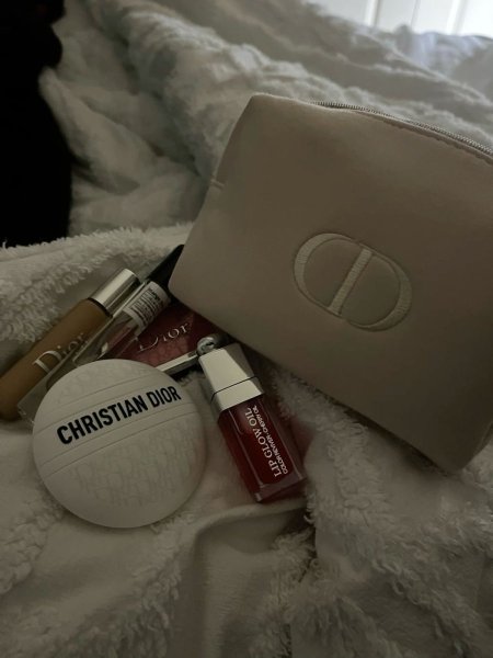 Christian Dior bag