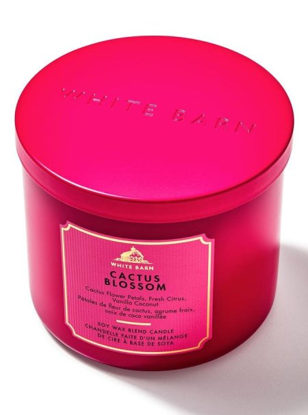 Cactus Blossom 3-Wick Candle